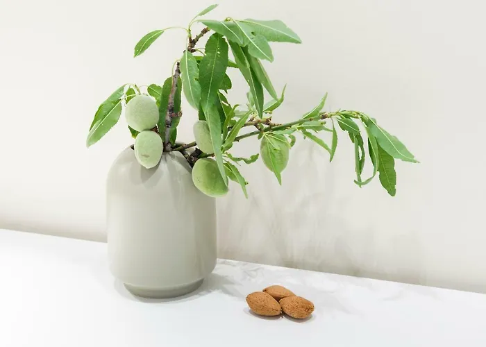 Guest house Mak Luxury Split