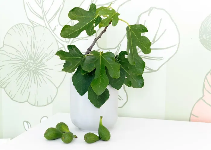 Guest house Mak Luxury